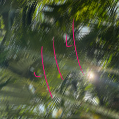 Courtyard Session Four Four