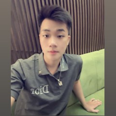 VietMix 2025