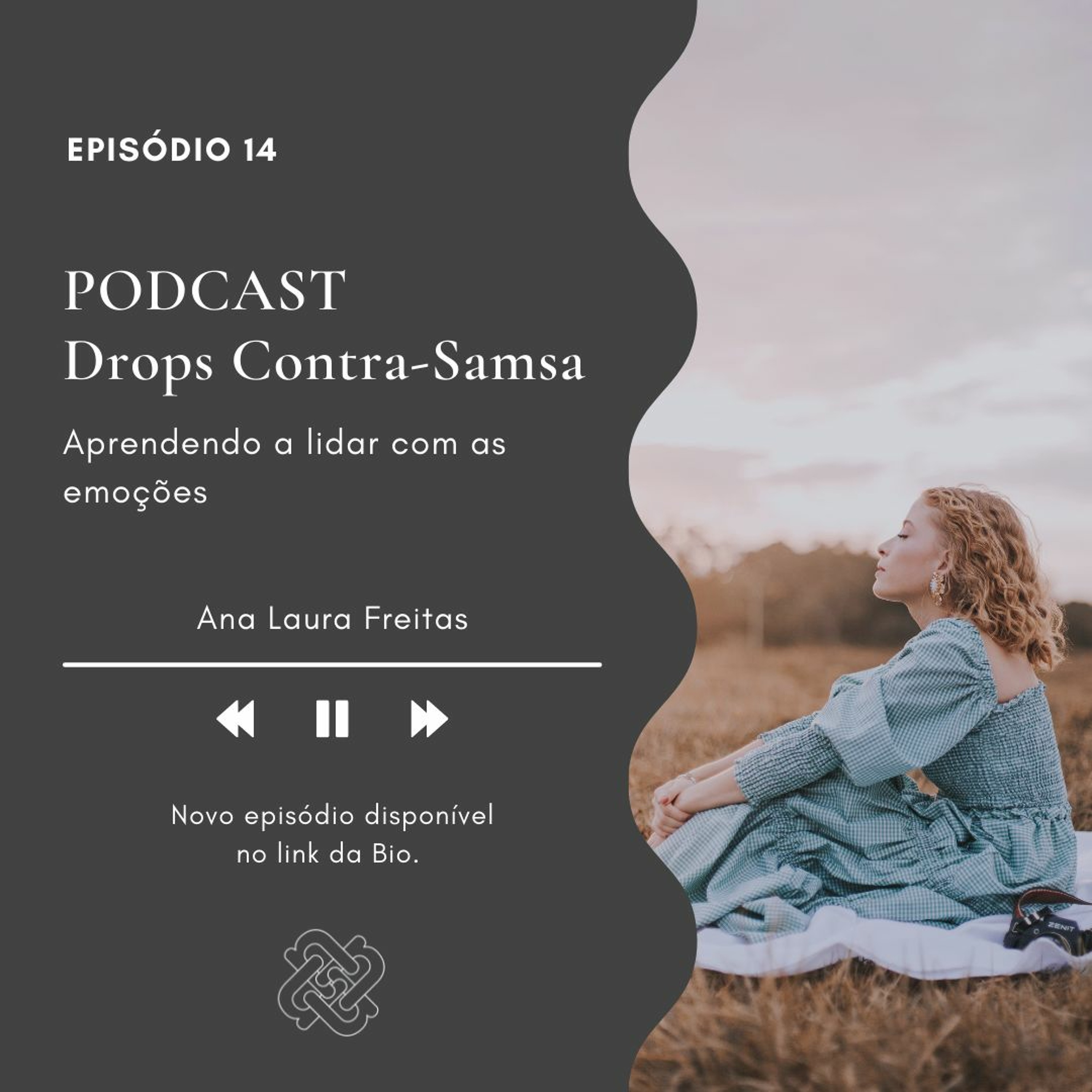 @analaurafreitasconsultoria