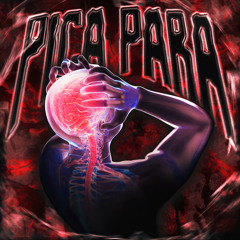 PICA PARA (Ultra Slowed)