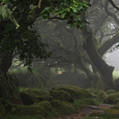 first light [Hexworthy june 2025]