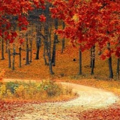 FALL