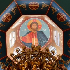 From Death in Sin to Life in Christ