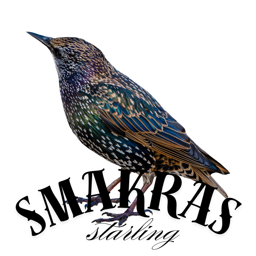 Stream Starling by Smakras | Listen online for free on SoundCloud