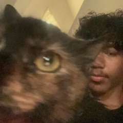 i feel like im losing you