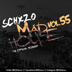 Madhouse Podcast Vol. 55 | House, Tech House, Minimal Selects (March 2024 New House Mix)