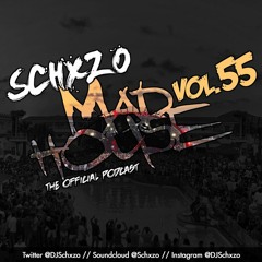 Madhouse Podcast Vol. 55 | House, Tech House, Minimal Selects (March 2024 New House Mix)