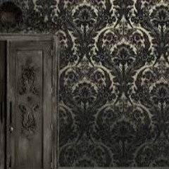 AHA-HA // FIRST ARSCH