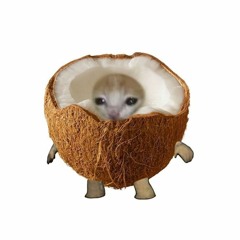 Hey coconut?! (DEMO)