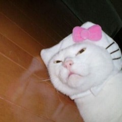 Hard bouncy techno | schranz | hardstyle | trance mix