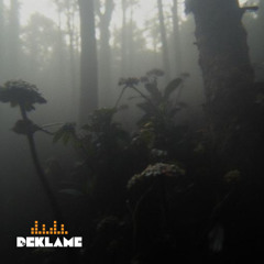 Crua (Dj Deklame Remix)