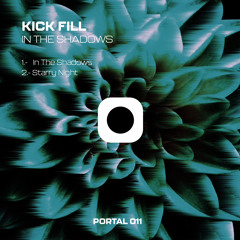 Starry Night (Original Mix)