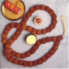 A Rudraksha User's Guide: How to Wear the Beads