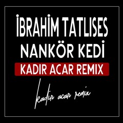 ibrahim Tatlıses - Nankör Kedi (Kadir ACAR Remix)