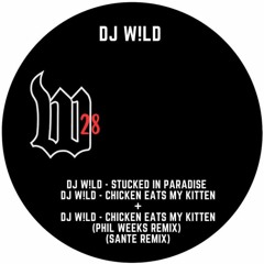 DJ W!LD - Chicken Eats My Kitten (Phil Weeks Remix)