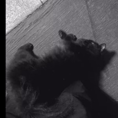 CAN YOU HELP ME? (FREESTYLE) (prod.RequiemCult)