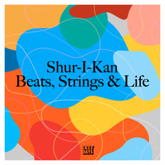 Exclusive Premiere: Shur-I-Kan "Shut This Down" (Lazy Day Recordings)