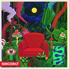 FEINSTOFF PREMIERE: Amirali - Nirvana Affair (Renato Cohen Remix) [SINCOPAT]