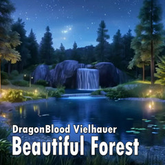 Beautiful Forest