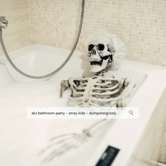 in the bathroom at a party, skzmix