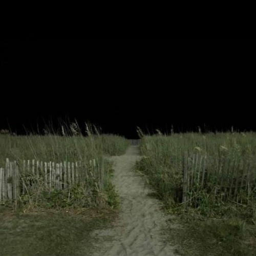asylum