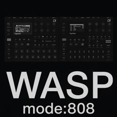 mode:808 - Wasp (live)