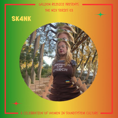 The Mix Series 03 - SK4NK