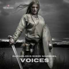 Voices - Carlos B, Sheri Marshel