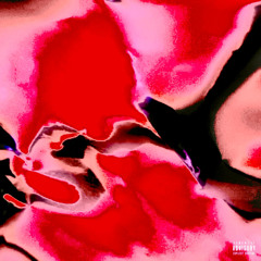 REPROD 433 - 410 DISKA FT JOLAGREEN23 - $YHTAM