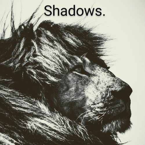 Shadows.