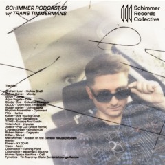 Schimmer Podcast #051 with Trans Timmermans