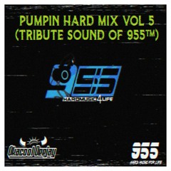 PUMPIN HARDMIX !! VOL 5 ( tribute To Sound Of 955™ ) - ©OKACOOL DJ™
