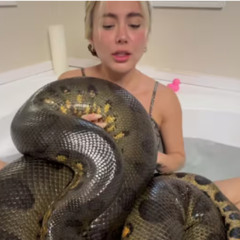 Original one girl one anaconda video link ruby and anaconda full new video