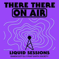 There There On-Air - Liquid Sessions Feat. Phat Earth Society + Bandicoot DJ