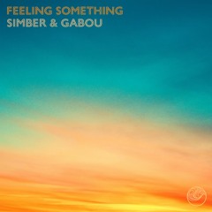 Feeling Something (Feat. Gabou)
