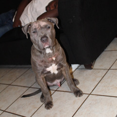 Rockin wit me (Instrumental)