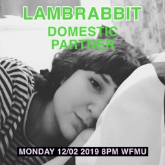 AMBIENT vinyl mix for Domestic Partner on WFMU