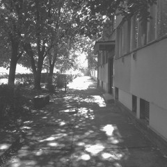 COa (Hypnotic Groove) - Silver Wall (2003)