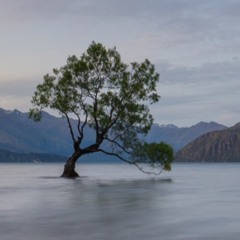 Messed Up World - The Pretty Reckless Cover - Lisa Ward