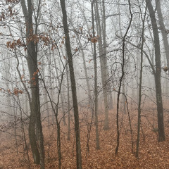 Urgency (Hurry Up & Wait)