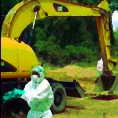 spared from being scooped up-naviarhaiku620