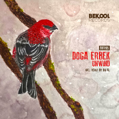 Doga Erbek - Unwind (BiG AL Remix)