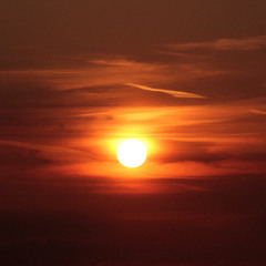 musik in meinen ohren _output