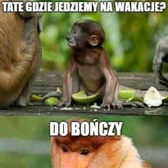 POLSKI RAP W REMIXACH VOL. 108 KLUBOWE RAPSY MUZA DO AUTA CZERWIEC 2022 VIXA Dj Przemooo.mp3