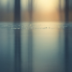 時雨 — Before the Winter Rain