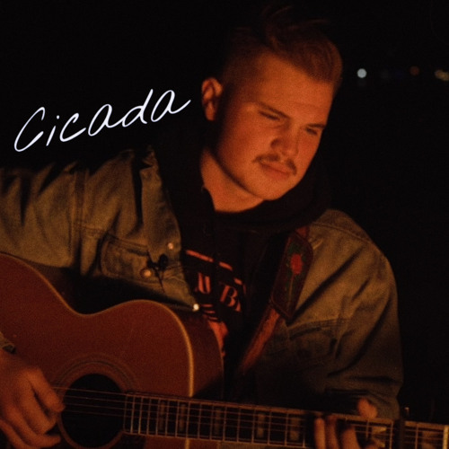 Cicada - Zach Bryan