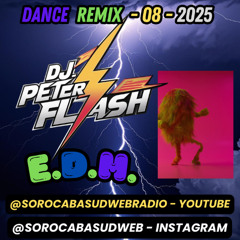 DANCE REMIX EDM 01 2025 DJ PETER FLASH 08-2025