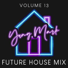 Vol. 13 (Future House Mix)
