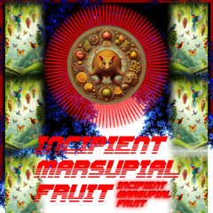 Incipient Marsupial Fruit