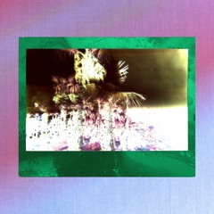 PREMIERE: Trees Of Tampa - Bass On My Waist (Azaria Remix) [Acid Canyon]